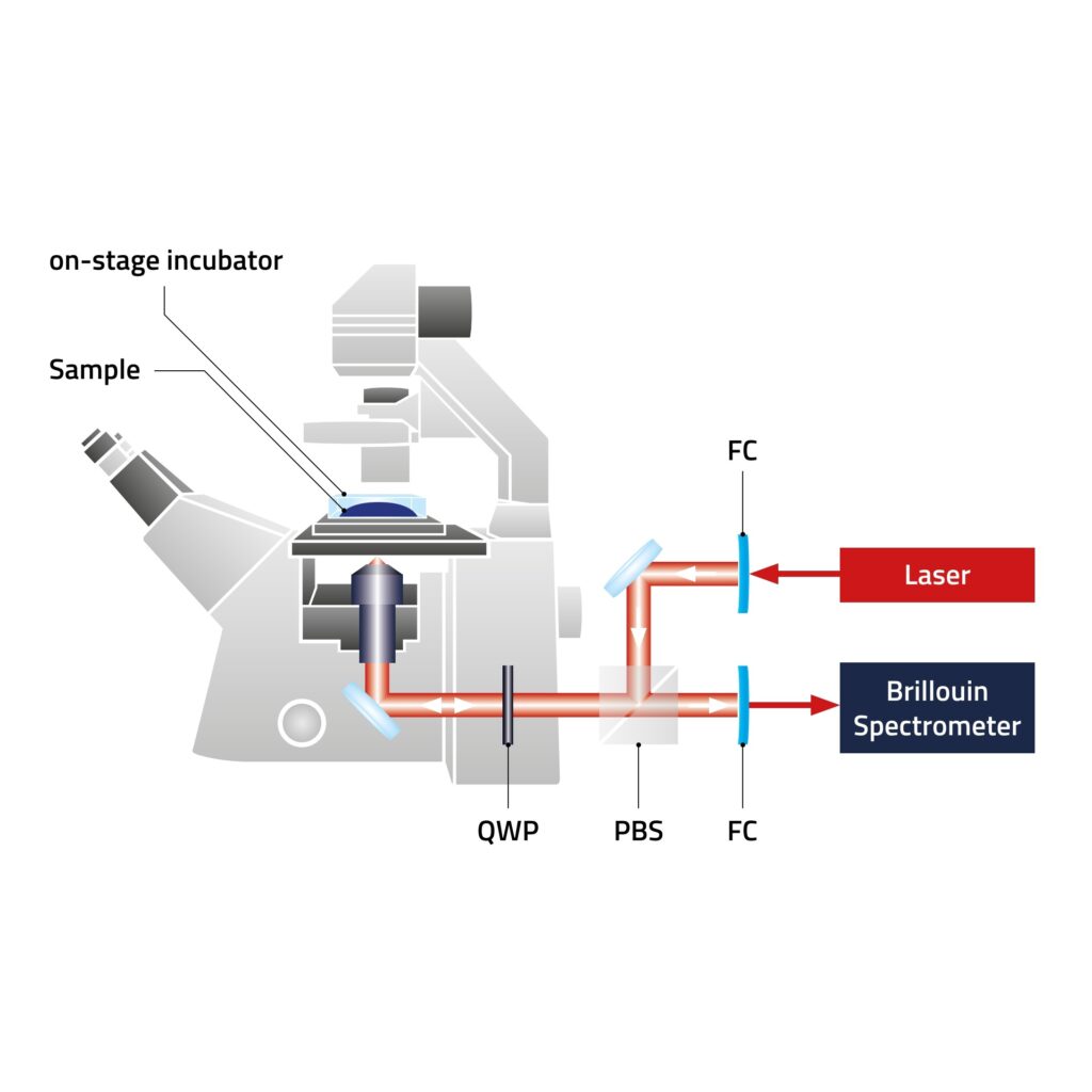 Discoverer Brillouin Microscope Principle