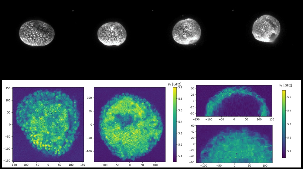 Hydra spheroids